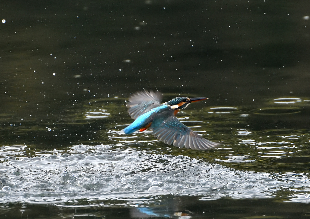 _191031_073656 DSC_7892