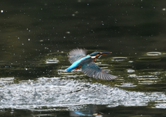 _191031_073656 DSC_7892