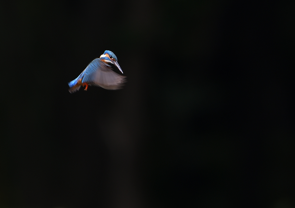 ホバ　５/２０❻