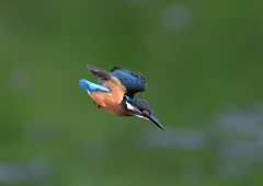 急降下中　７/２９