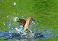 いつもの公園で　９/１４❼