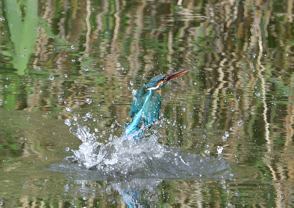 水飛沫　５/１５❶