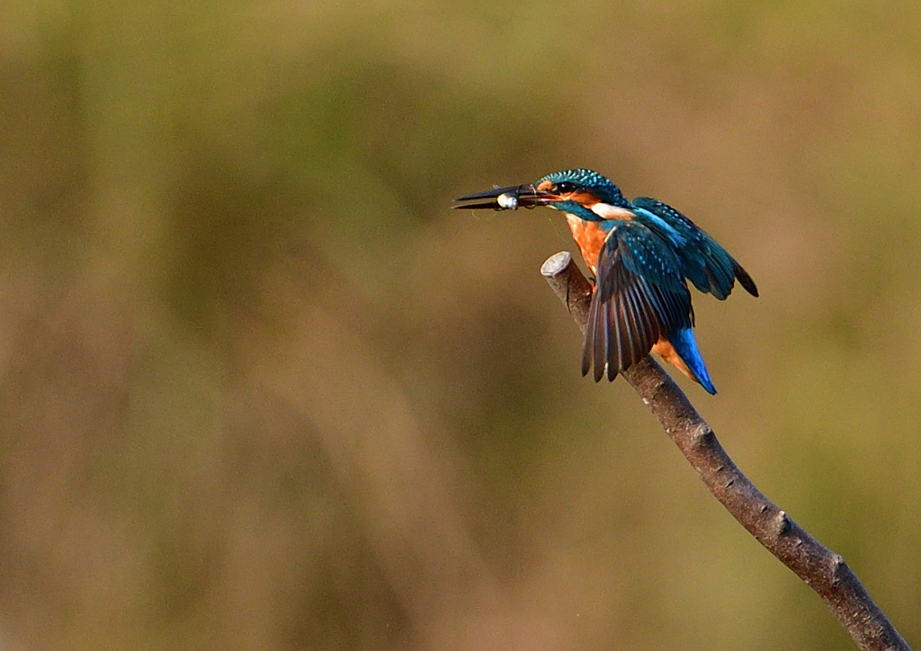 いつもの公園で　９/２１❸