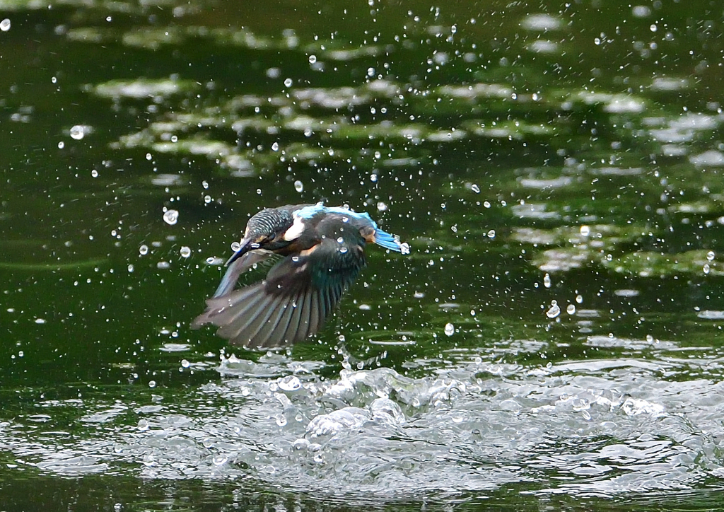 水飛沫　７/２０②
