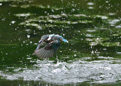 水飛沫　７/２０②
