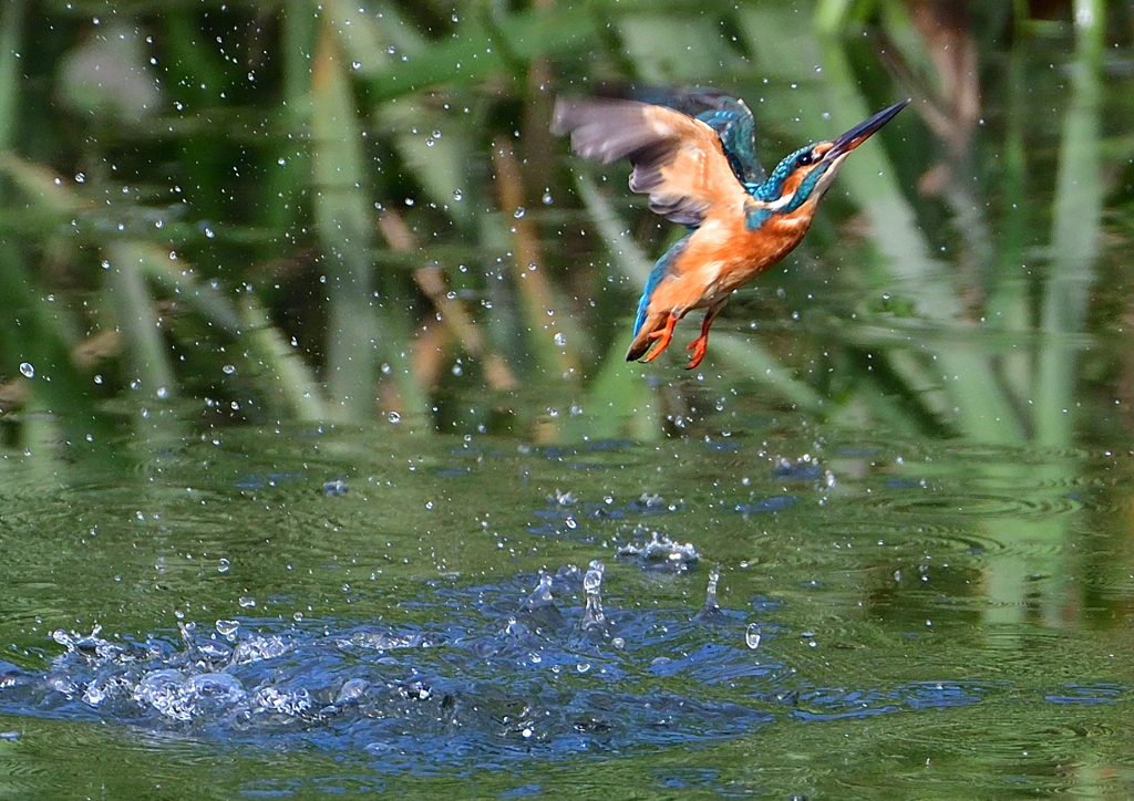 いつもの公園で　９/１２❺