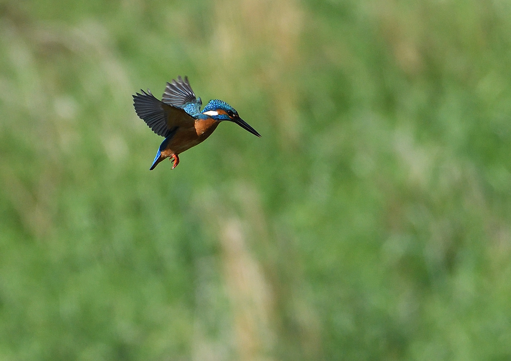 ホバリング　５/７❷