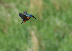 ホバリング　５/７❷