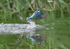 いつもの公園で　９/２４❸