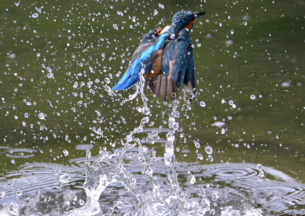 水飛沫 ９ ２２ By Sand Id 写真共有サイト Photohito