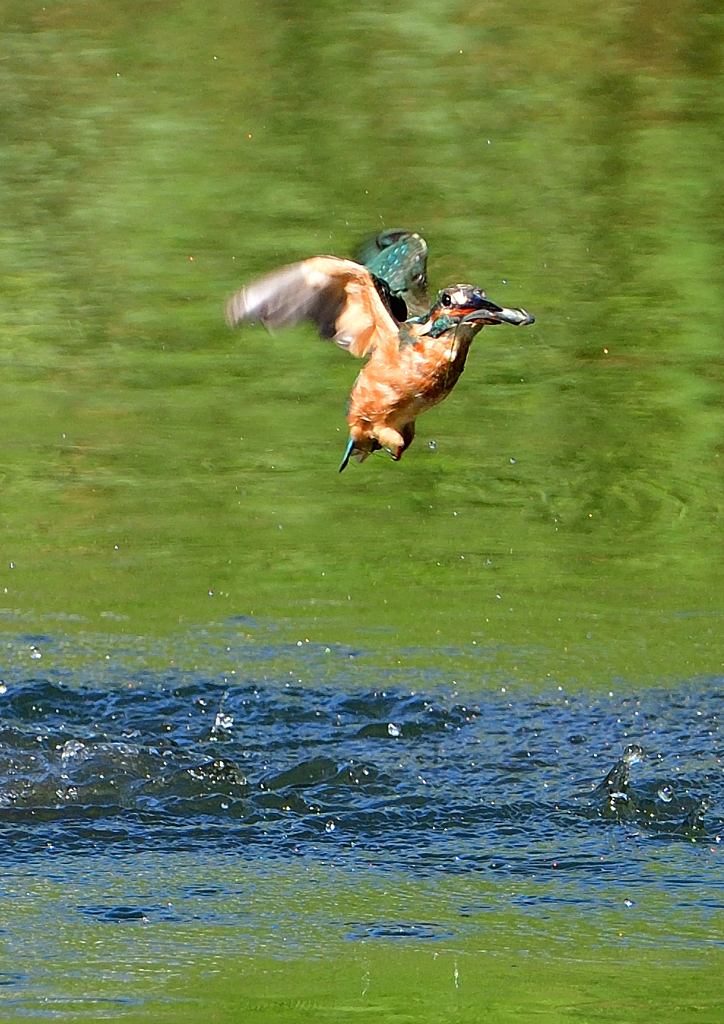 いつもの公園で　９/１４❺
