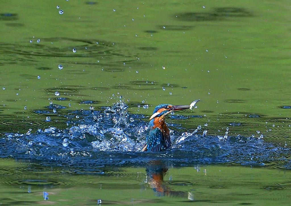 いつもの公園で　９/２１❺