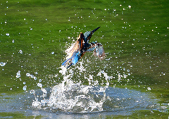 いつもの公園で　８/１６⓬