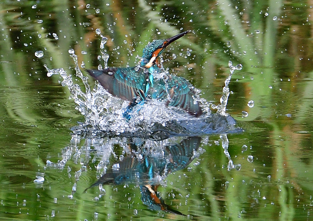いつもの公園で　９/１２❽