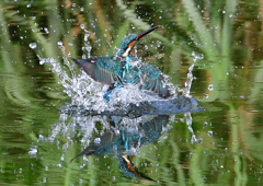 いつもの公園で　９/１２❽