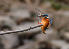 いつもの公園で　1／5➓