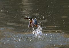 _190305_101908 DSC_6760