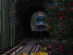 ハイモ３３０－７００型気動車　１１/２７