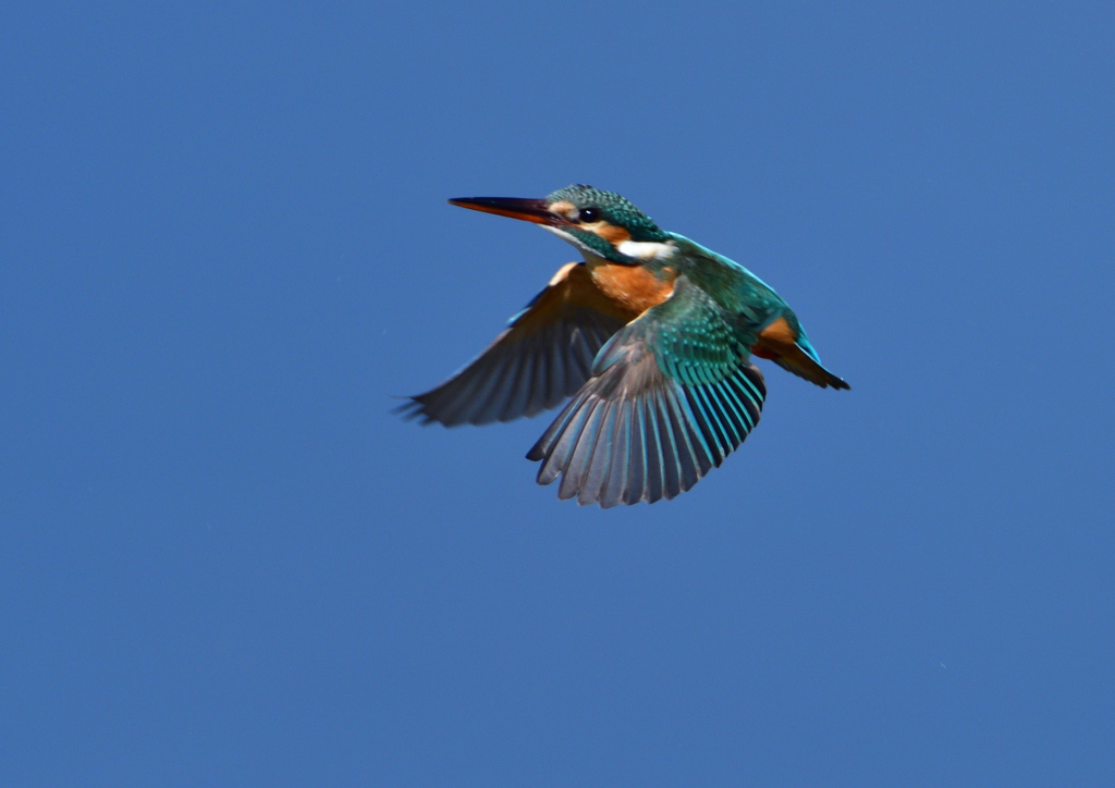 止まり木へ　３/７❷