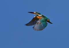 止まり木へ　３/７❷