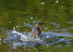水飛沫　４/２９❸