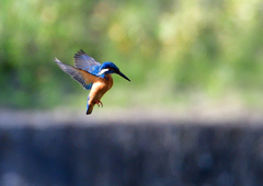 いつもの公園で　１０/１４❻