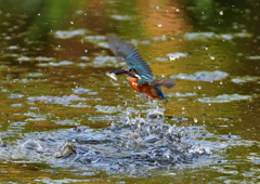 いつもの公園で　８/３１❶