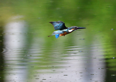 いつもの公園で　８/２３❷