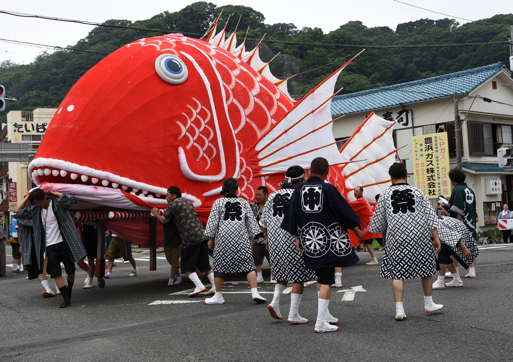 鯛まつり❹