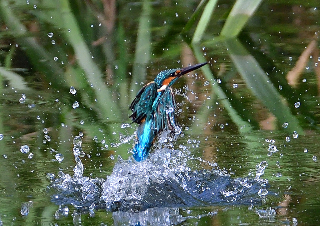 いつもの公園で　９/１２❻