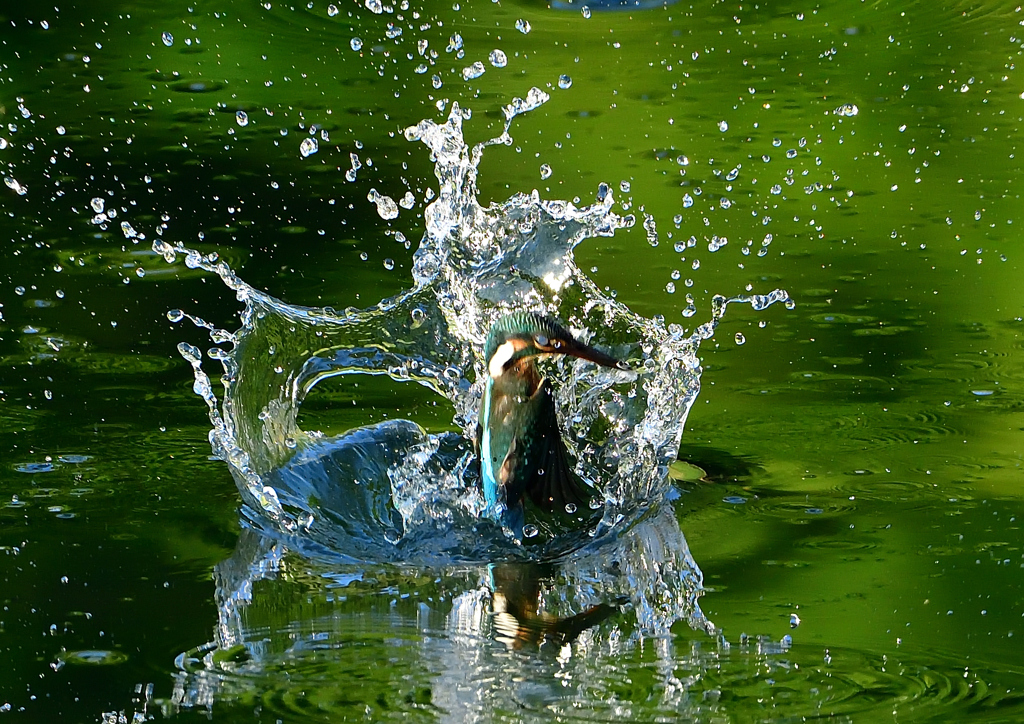 いつもの公園で　８/１７②