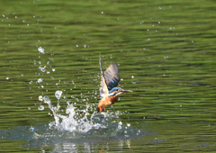 水飛沫　９/１２❻