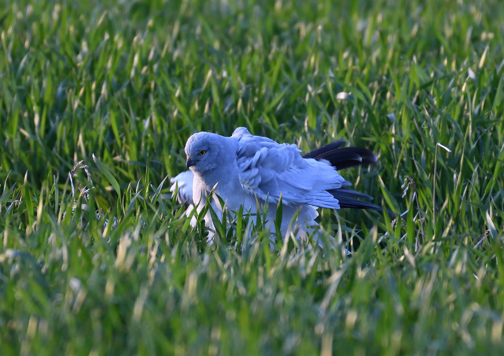 _190318_173444 DSC_8080