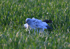 _190318_173444 DSC_8080