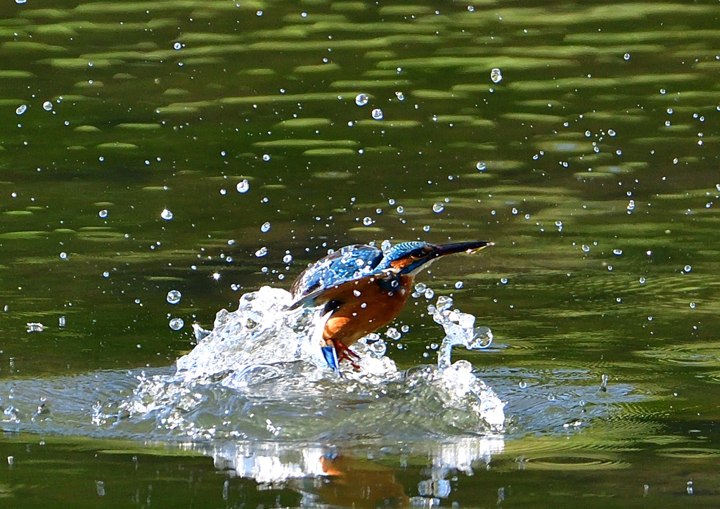 いつもの公園で　１０/１５❼