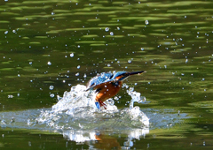 いつもの公園で　１０/１５❼
