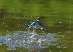 水飛沫　４/２９❷