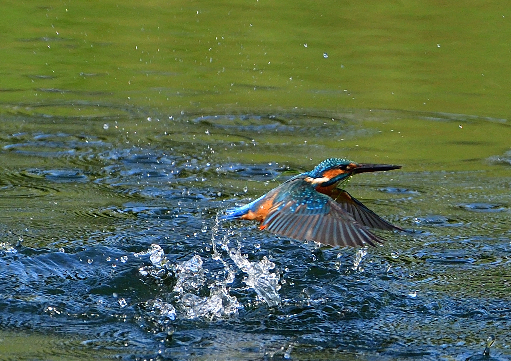 いつもの公園で　９/２１❹