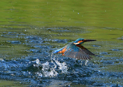 いつもの公園で　９/２１❹