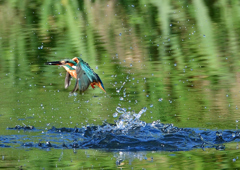 ダイブ　９/２８❶