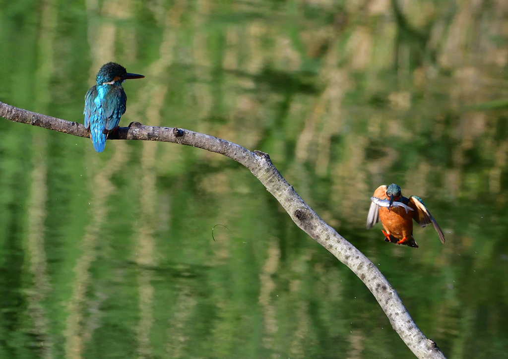 オス＆メス　５/２２❶