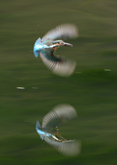 飛翔　８/３１❶