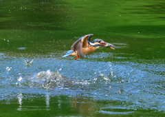 ダイブ　５/２３❶