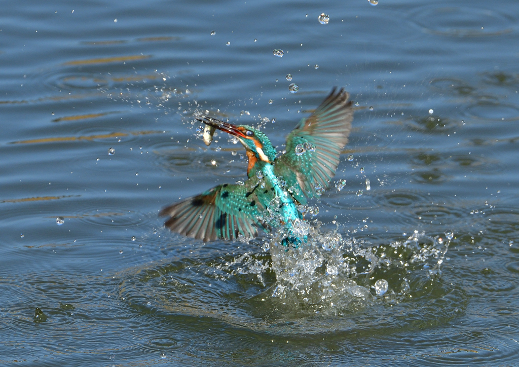 ダイブ　３/２３❷