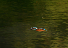 DSC_9056_00001