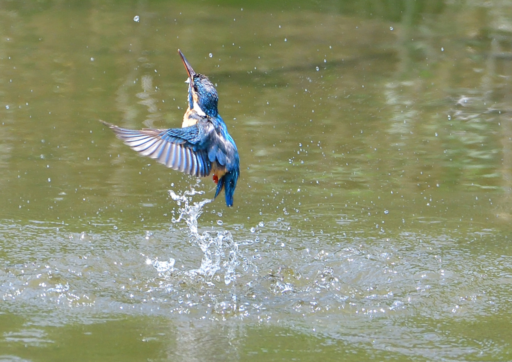 水飛沫　５/５❸