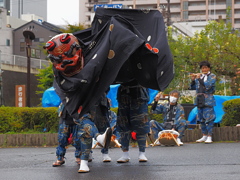 獅子舞フェスティバル　１０/１７❶