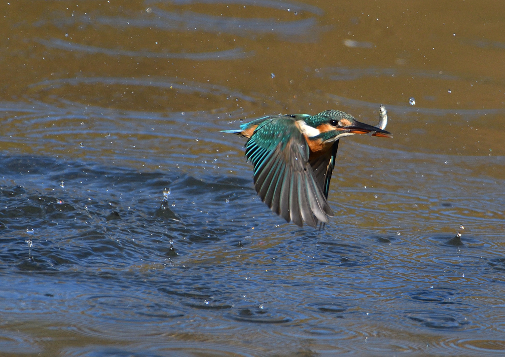 離水から　１１/５　❹