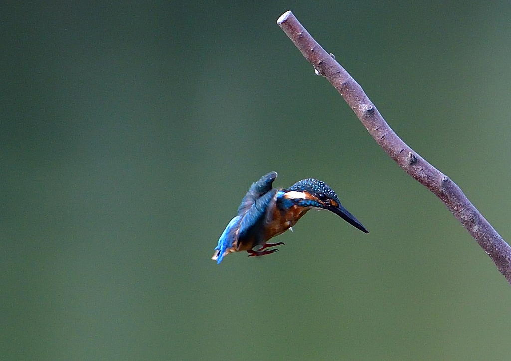 いつもの公園で　９/１９❸