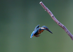 いつもの公園で　９/１９❸